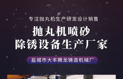 无地坑辊道通过式抛丸机 钢结构铸件 运行稳定效率高 腾龙机械